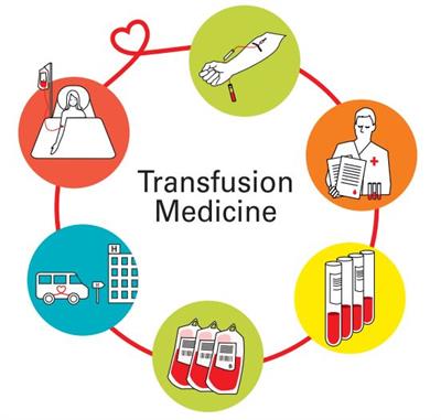 HDD30103 - TRANSFUSION SCIENCE & BLOOD BANKING