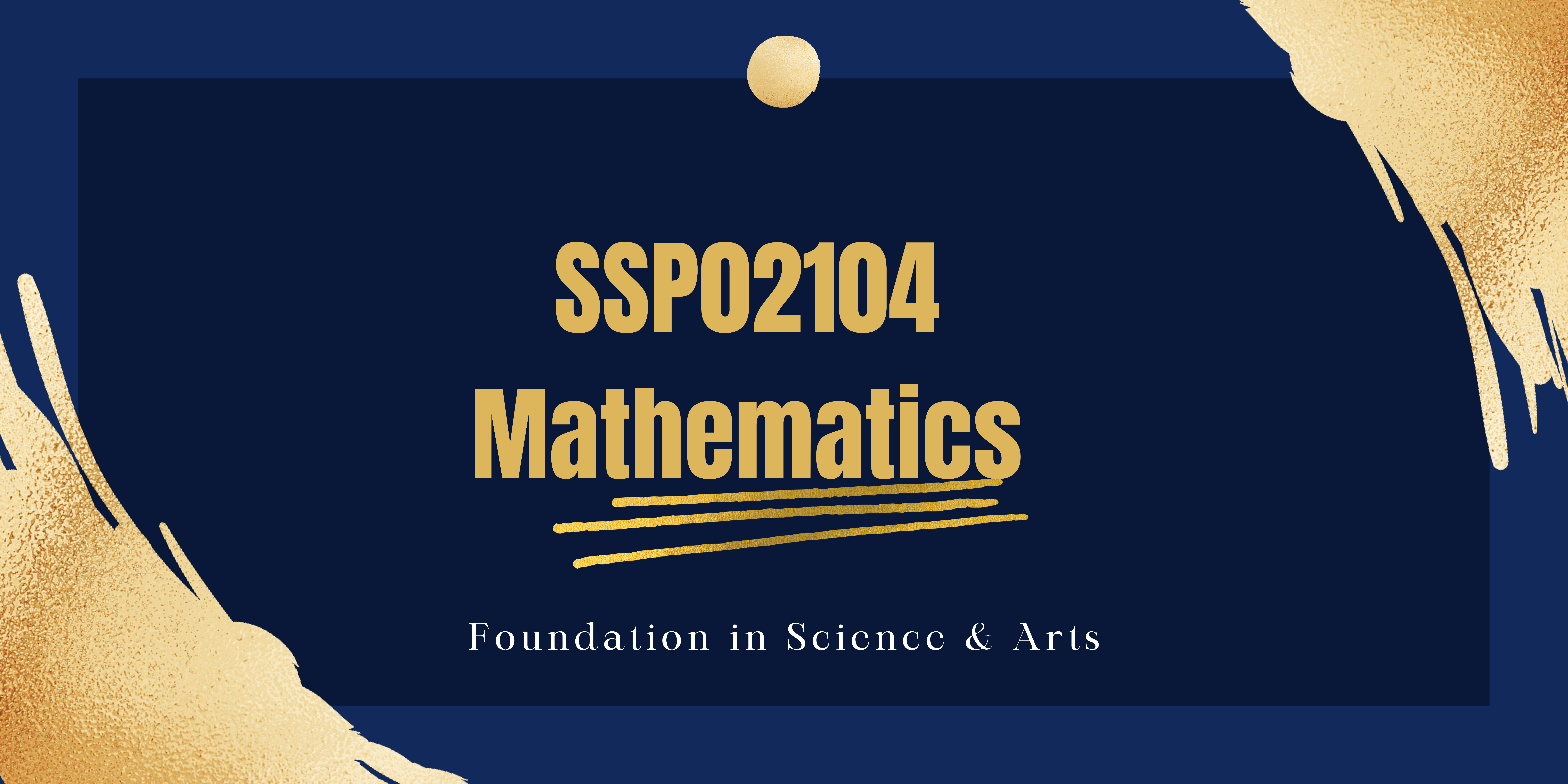 SSP01204 - MATHEMATICS