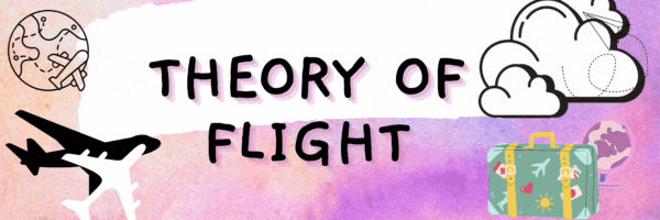 AJD10402 - THEORY OF FLIGHT AND CONTROL